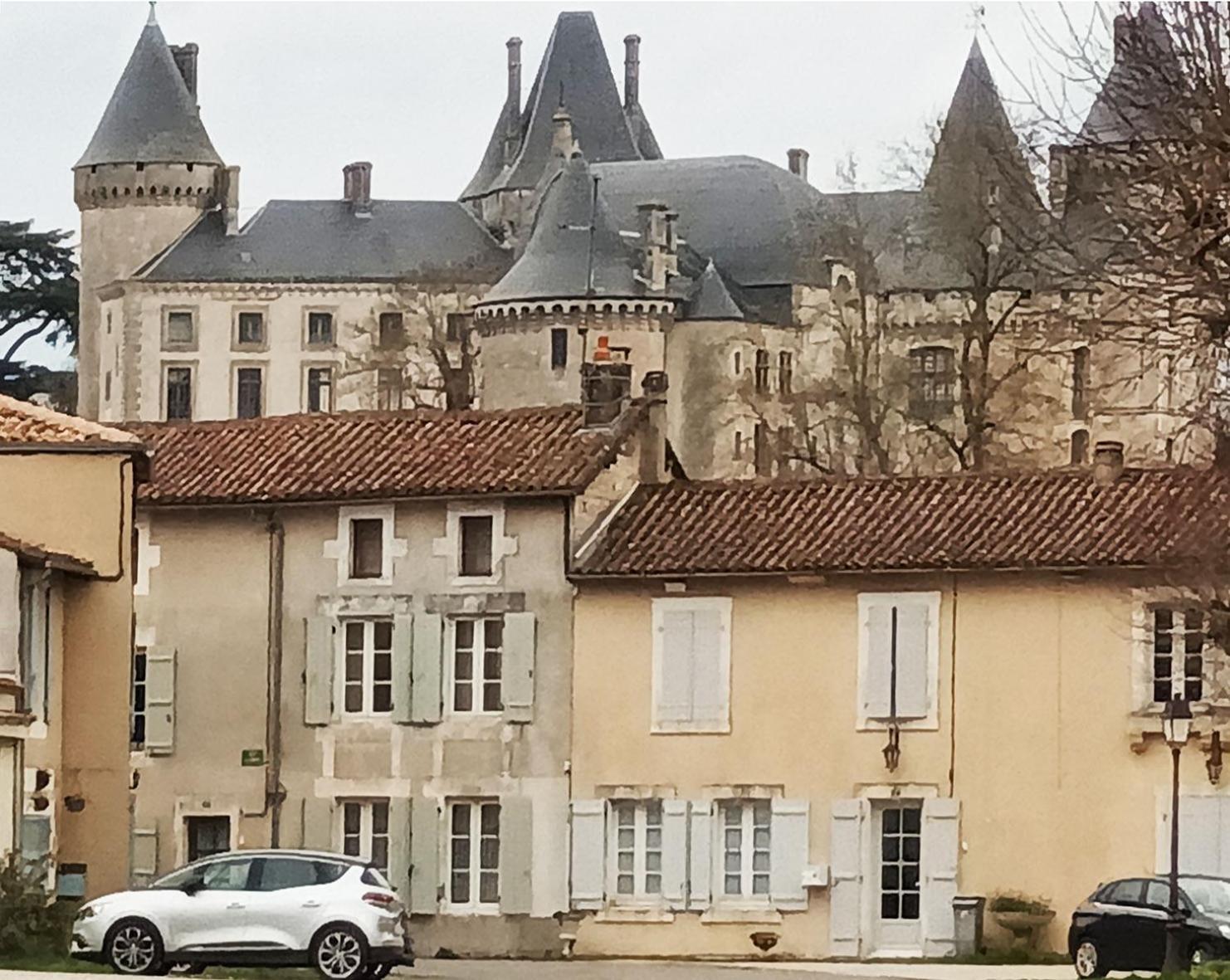 Appartamento Au Bord De La Riviere Verteuil-sur-Charente Esterno foto